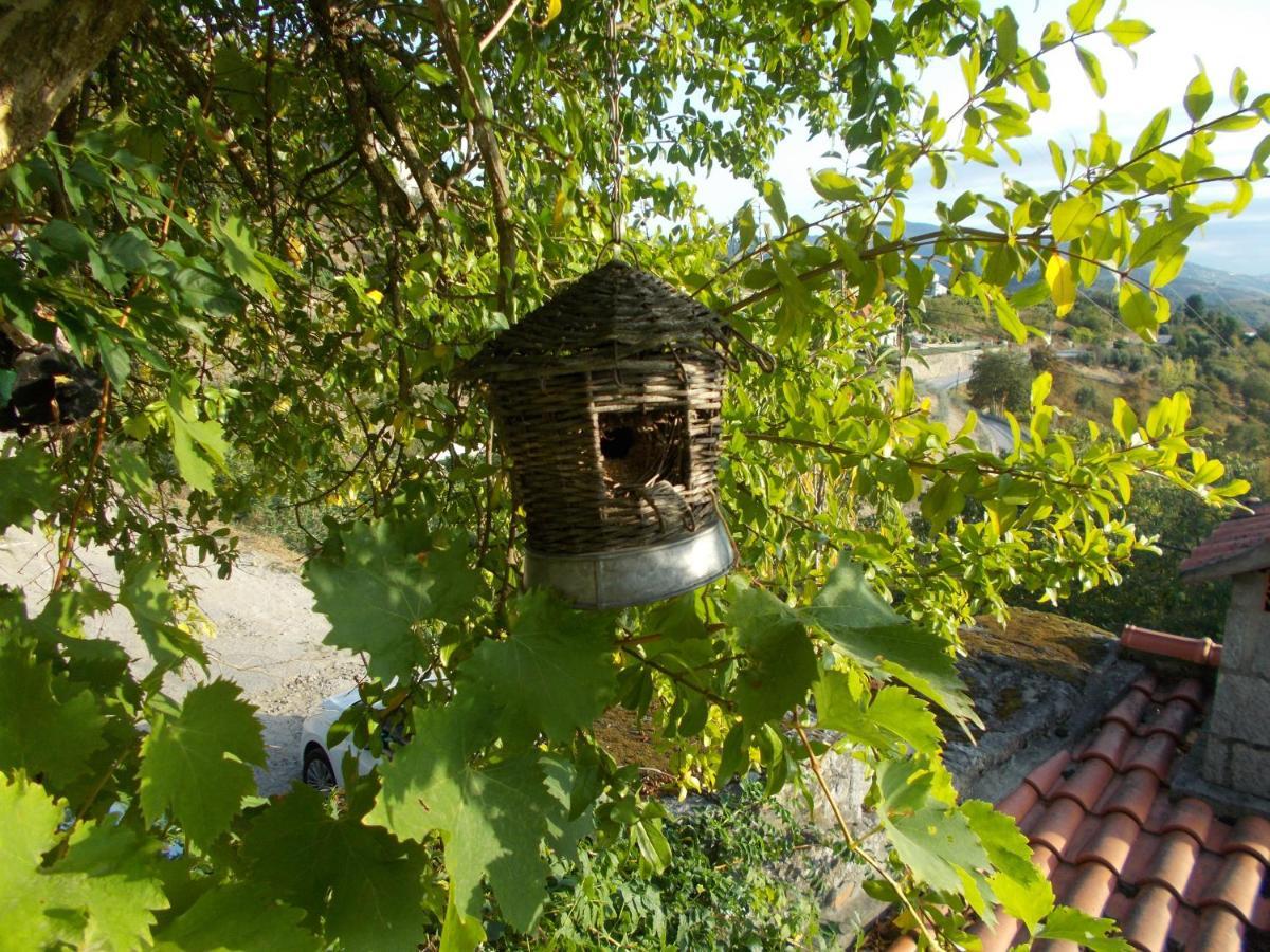 Casa De Sao Joao Das Castanheiras Resende Exterior photo